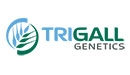 Florimond Desprez und Bioceres gründen die Firma TRIGALL Genetics
