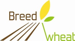 Florimond Desprez empfängt Breedwheat
